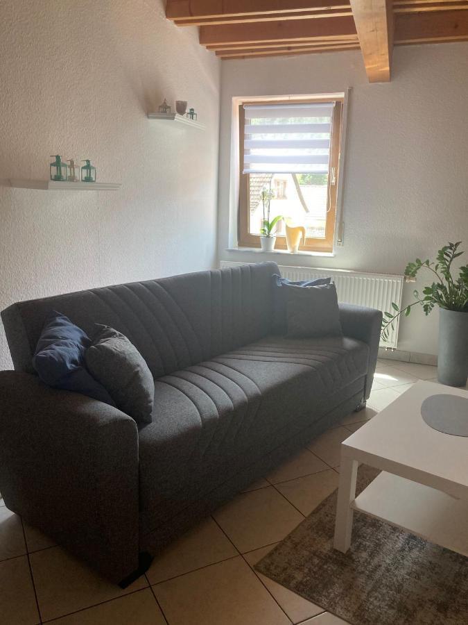 Apartmán Dz Im Haus Maja Holzkirchen  Exteriér fotografie